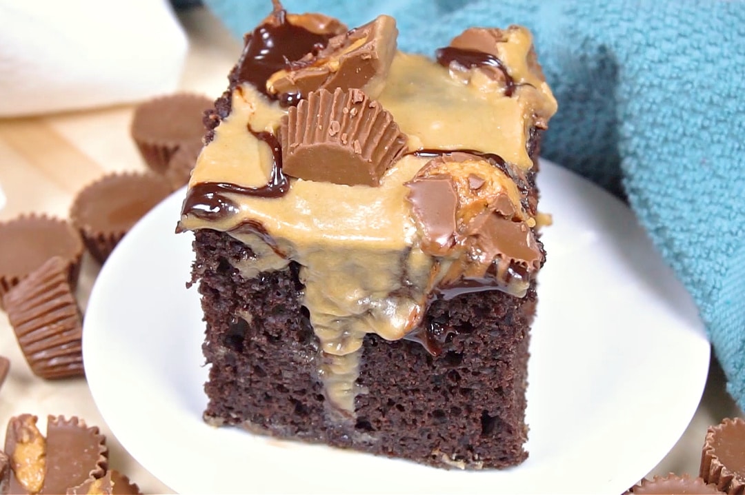 Slice of cake on a plate.