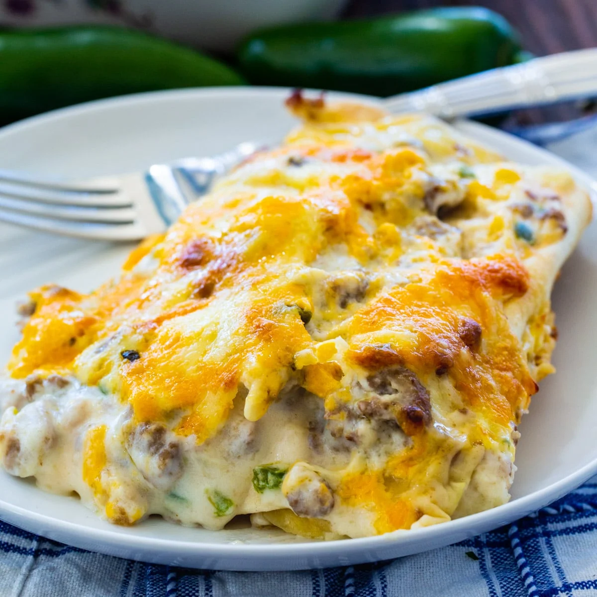Enchiladas dished up on a plate.