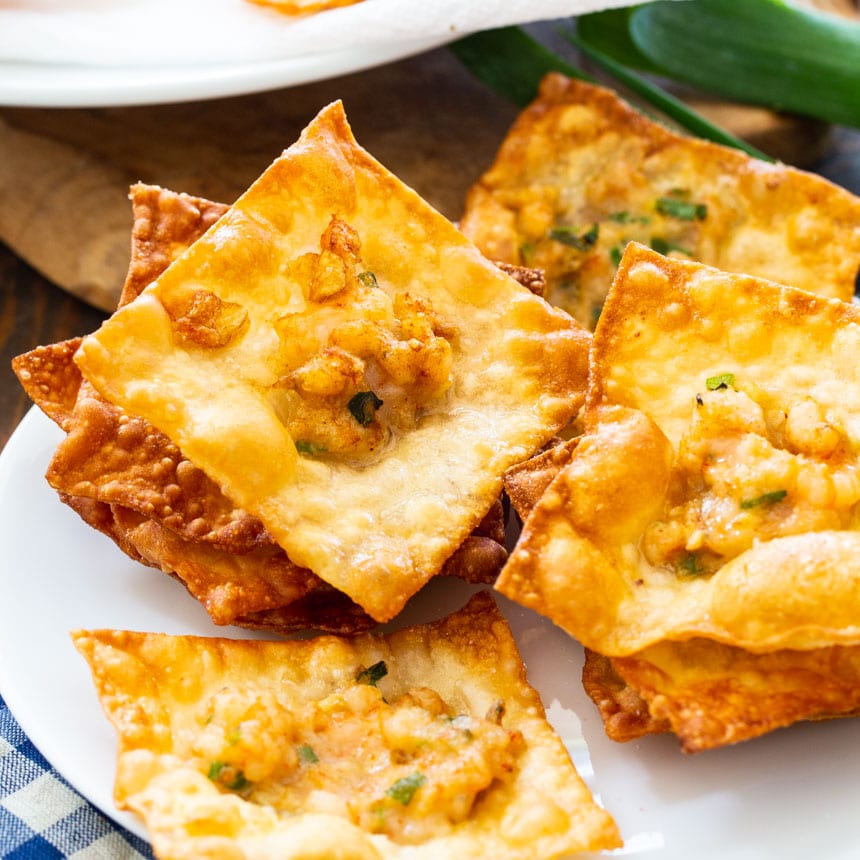 Shrimp Wonton Chips