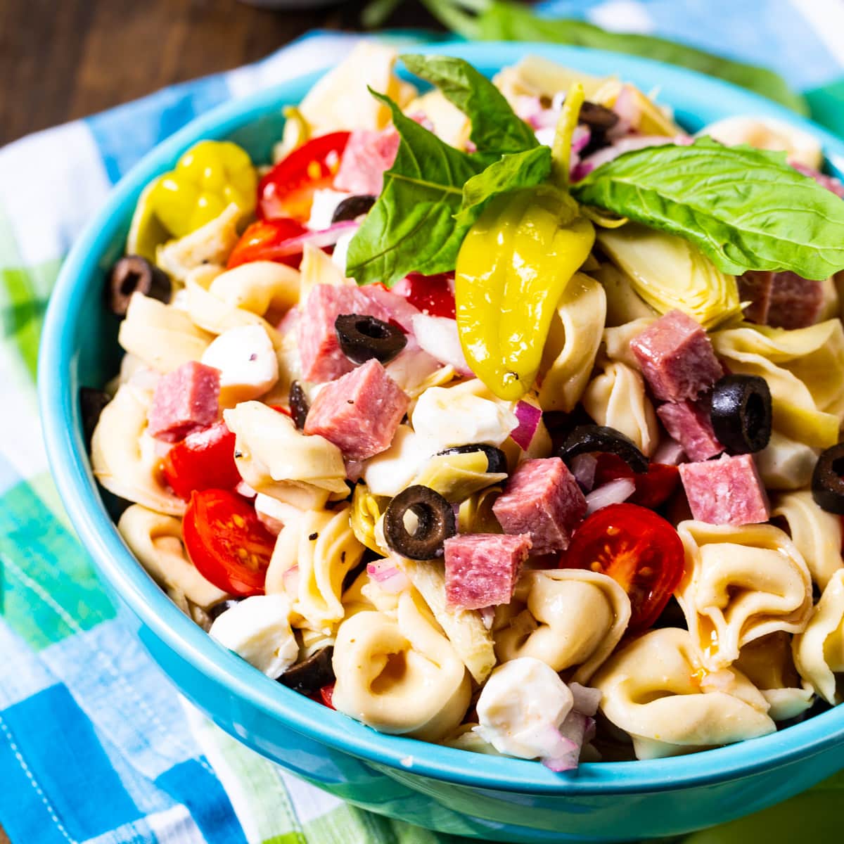 Tortellini Antipasto Pasta Salad with Newman's Own Dressing