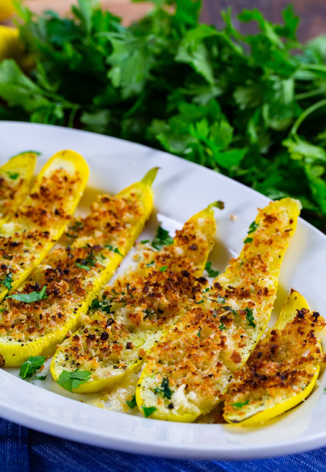 Panko Parmesan Squash Planks on serving plate.
