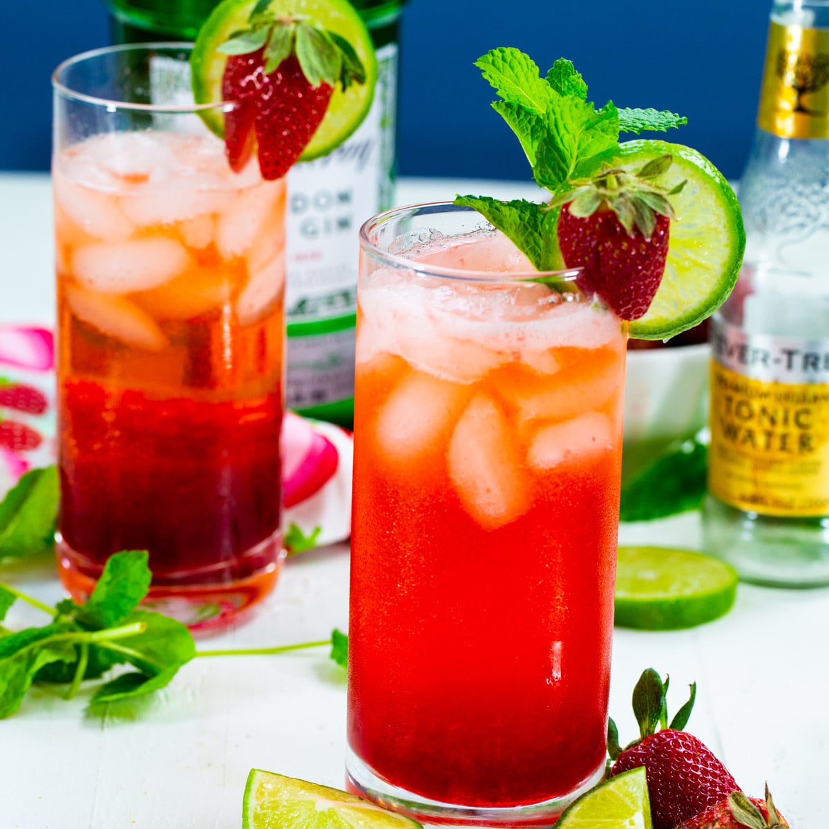 Strawberry Gin and Tonic