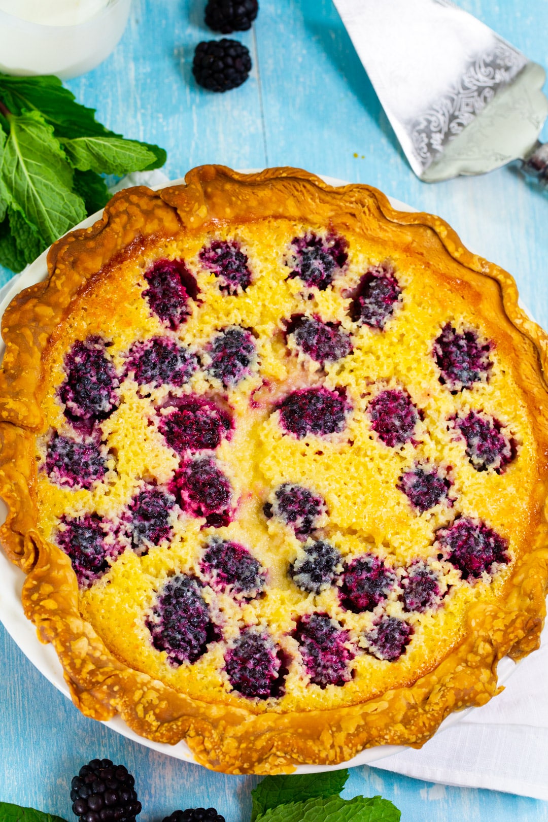 Whole Blackberry Buttermilk Pie in pie pan.