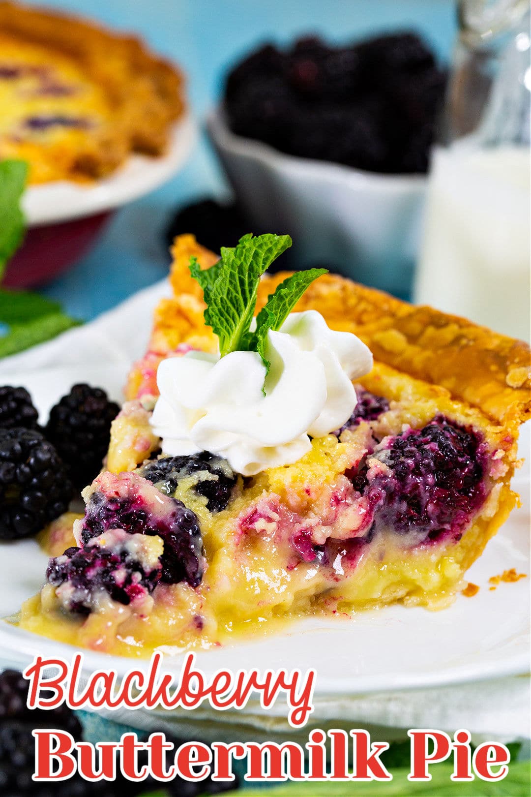 Slice of Blackberry Buttermilk Pie topped with whipped cream.