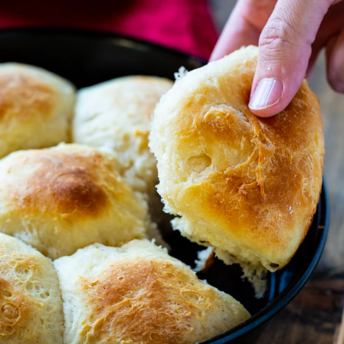 Potato Rolls Recipe