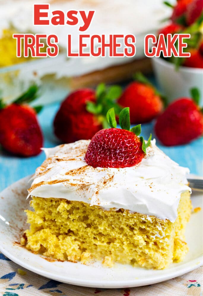 Slice of cake with fresh strawberries.