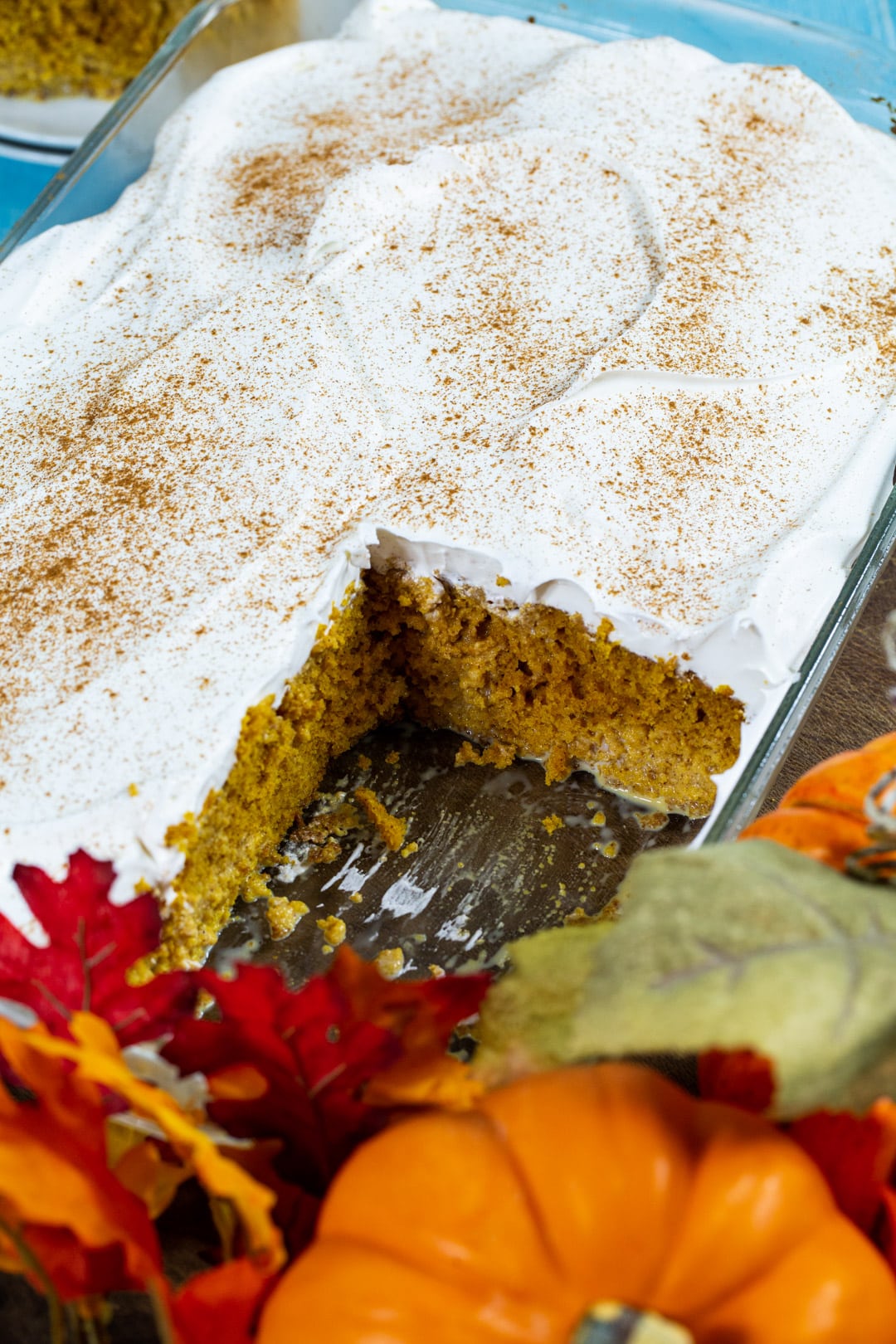 Cake in baking dish.