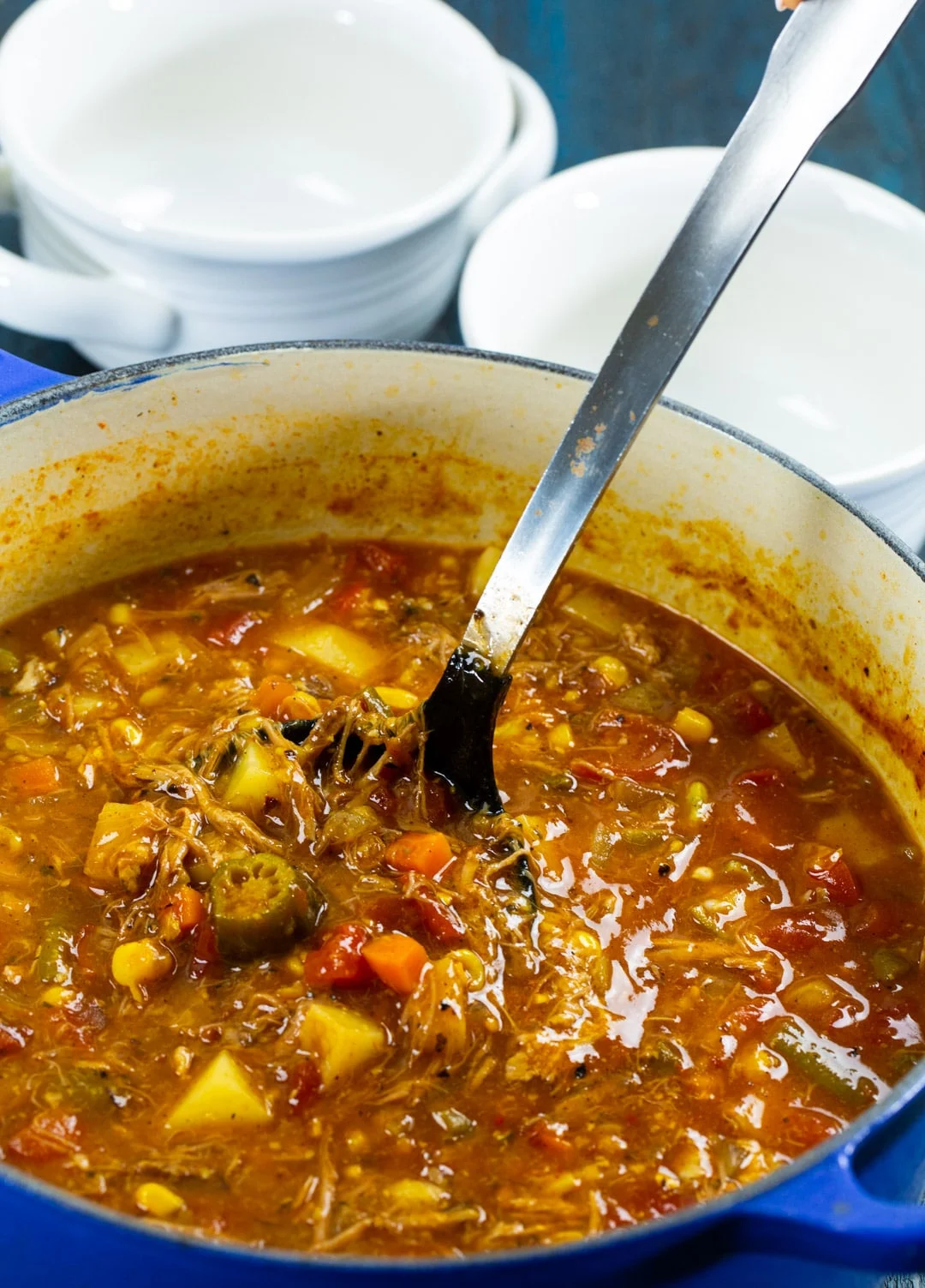 Ladle scooping up Pulled Pork Vegetable Soup.