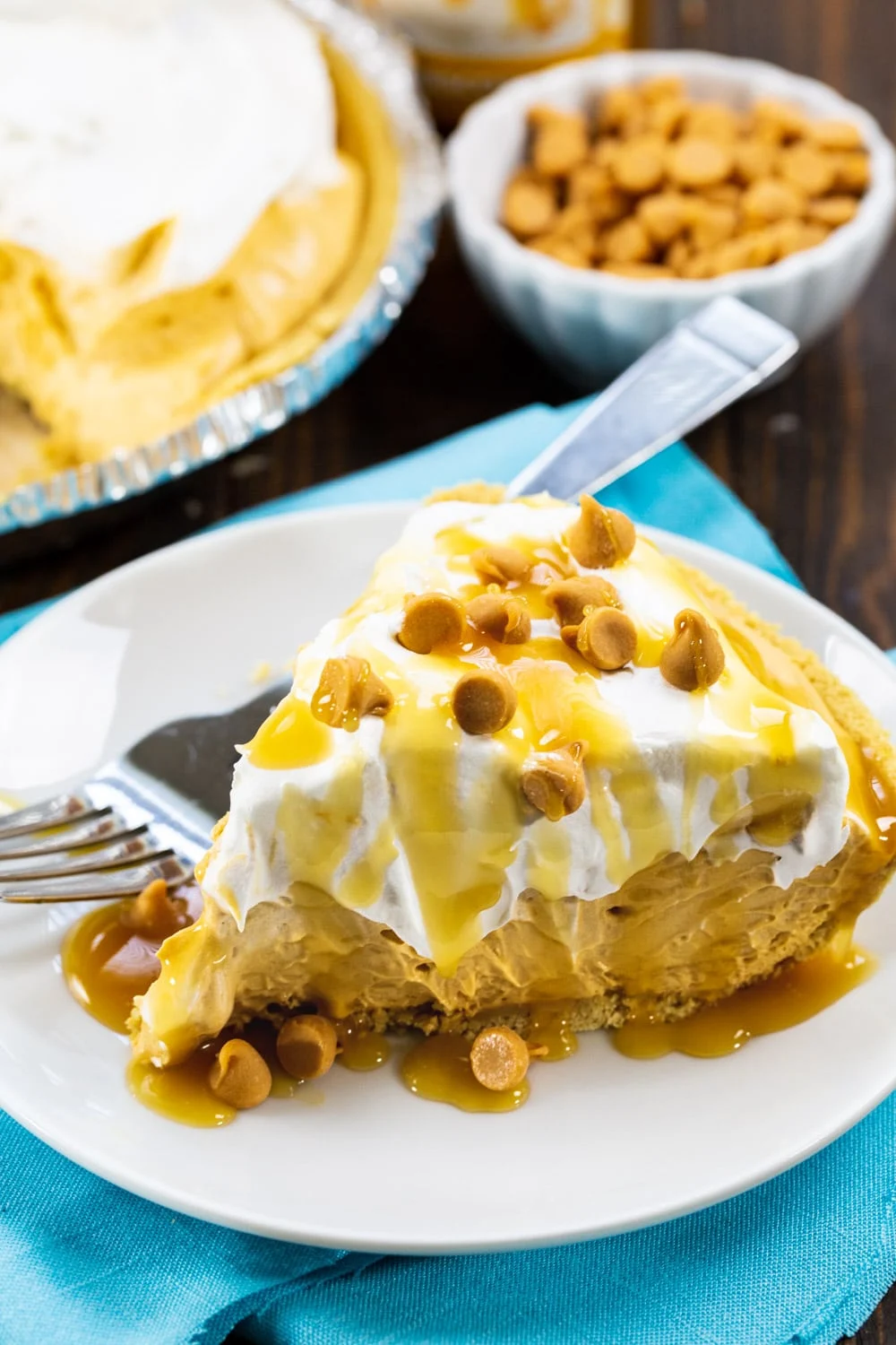 Slice of pie on a plate with rest of pie in background.