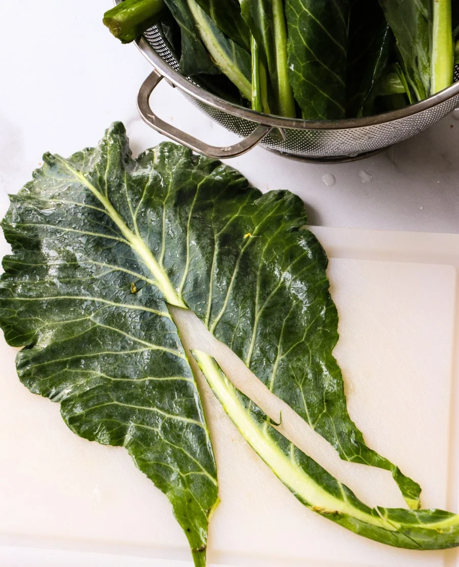 Rib cut out of collard green leaf.