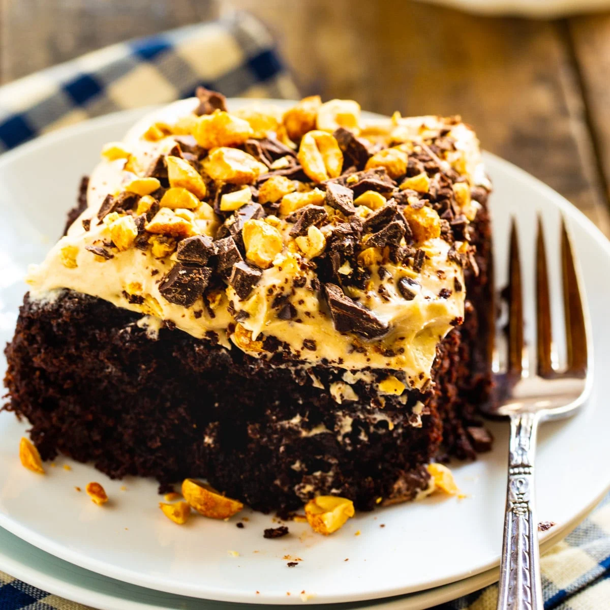 Chocolate-Peanut Butter Fun Cake