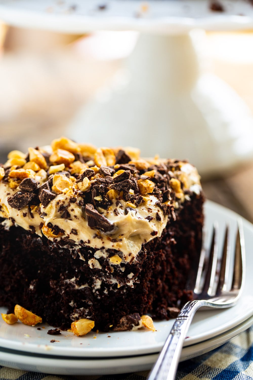 Slice of cake topped with peanuts on a plate.