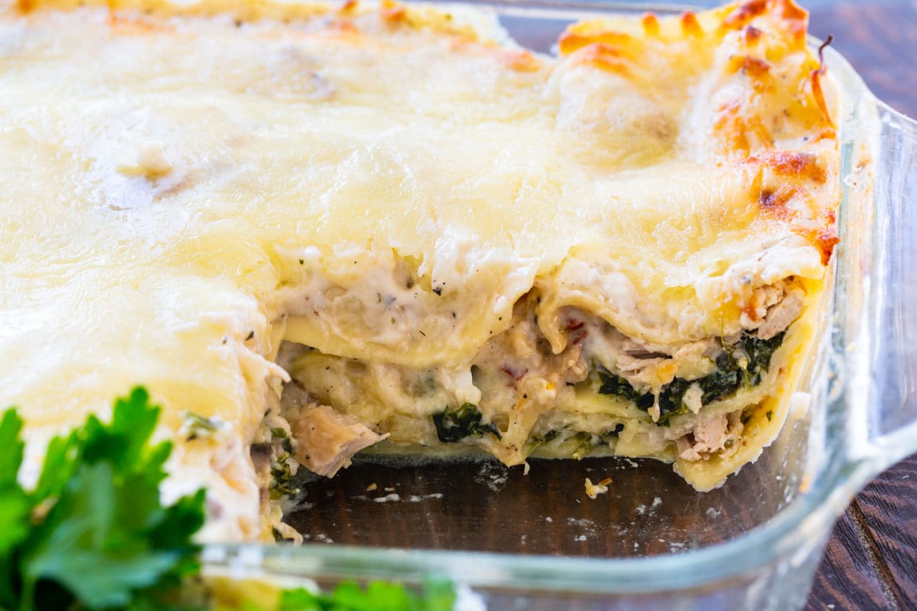 Chicken Lasagna with a creamy white sauce