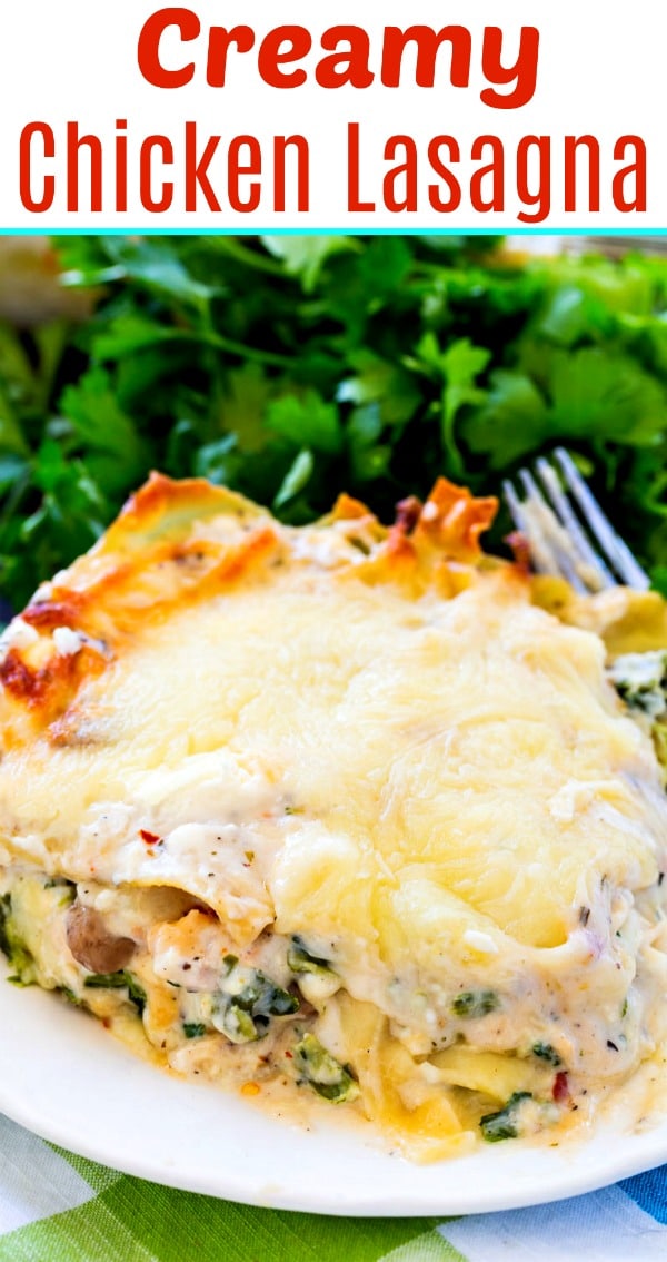 Creamy Chicken Lasagna