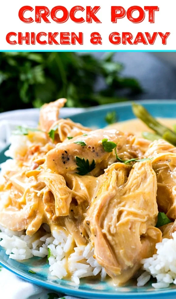 Crock Pot Chicken and Gravy