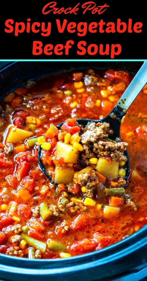 Crock Pot Spicy Vegetable Beef Soup
