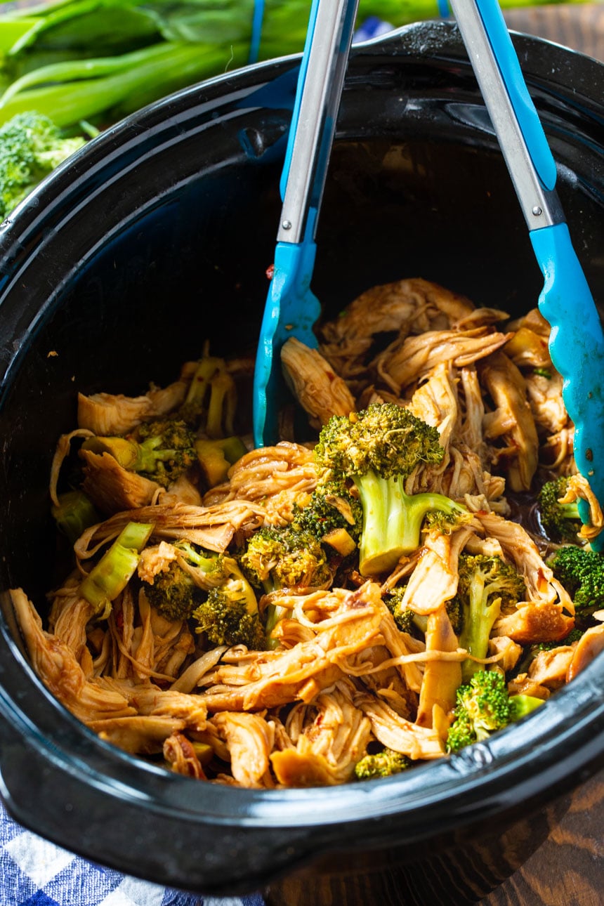Honey Soy Chicken in a crock pot