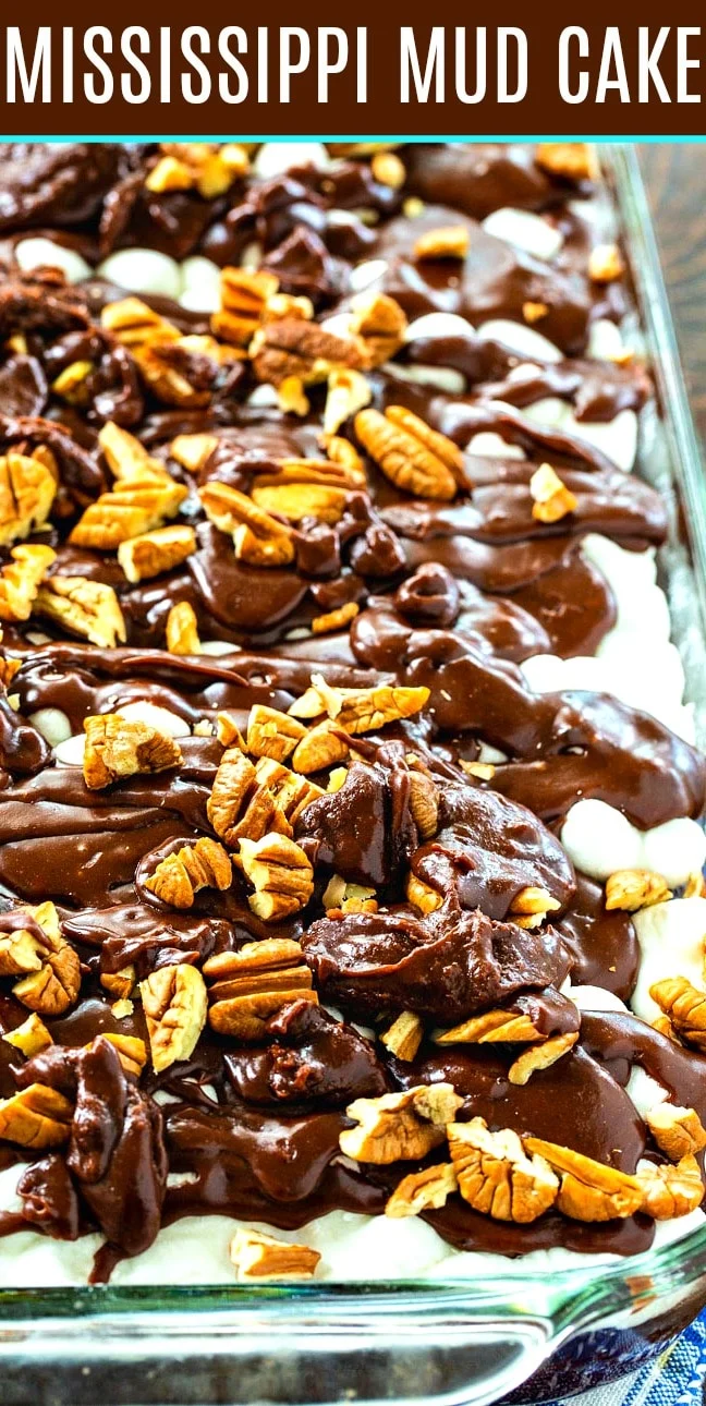 Southern Mississippi Mud Cake