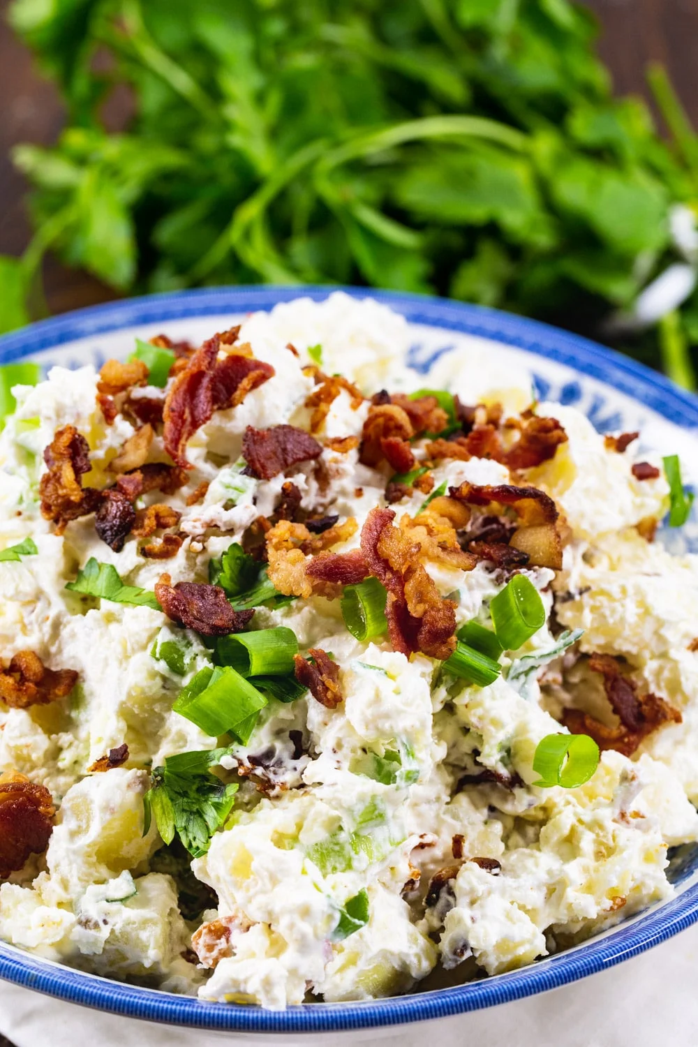 Potato Salad topped with crumbled bacon and green onions.