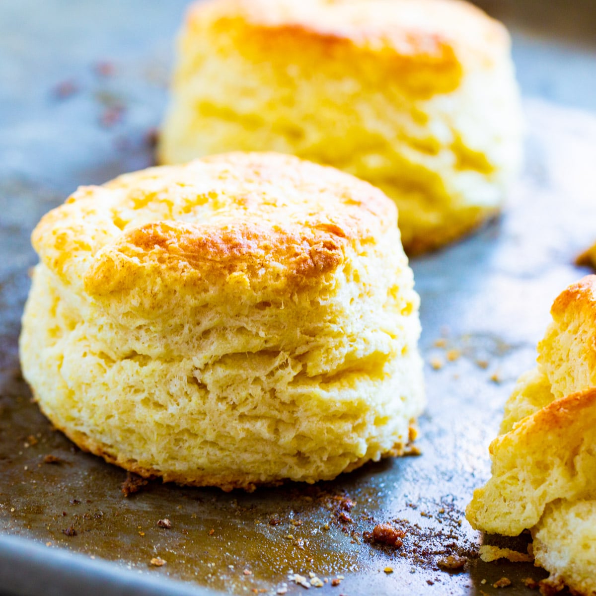 Tupelo Honey Ginormous Biscuits on a baking sheet.