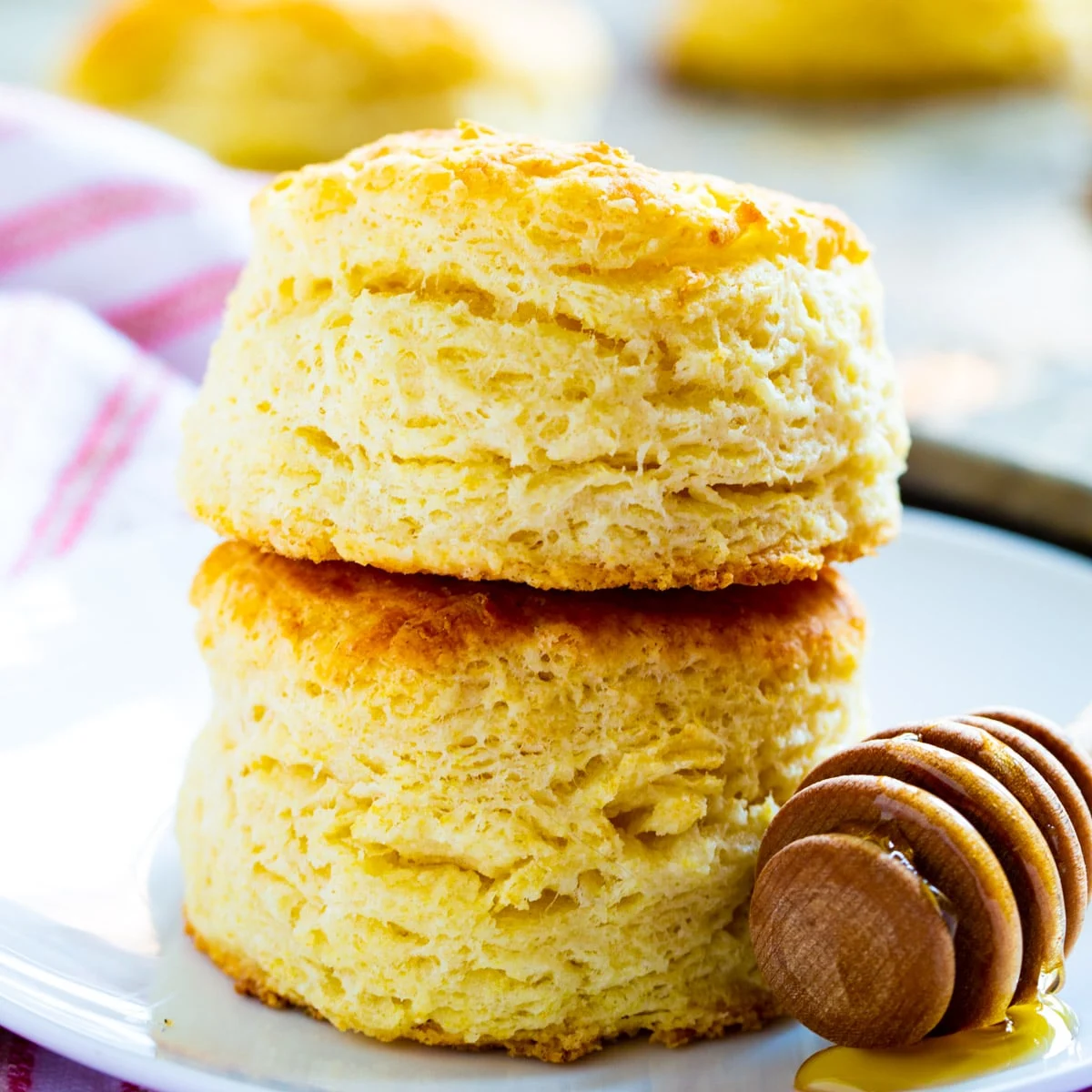 Tupelo Honey Ginormous Biscuits