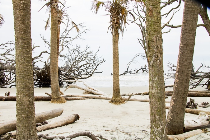 Hunting Island State Park