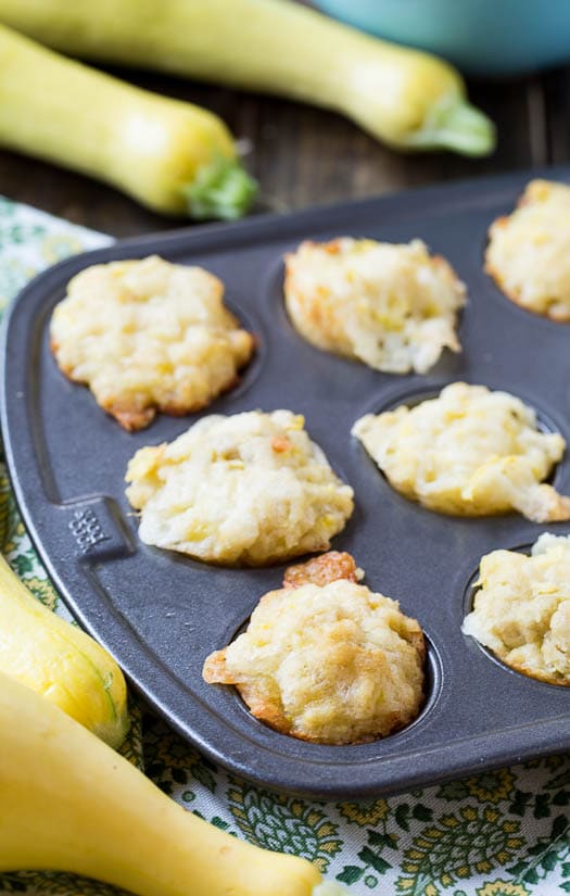 Summer Squash Muffins