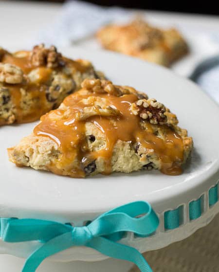 Turtle Scones Recipe