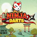 Ninja Okları